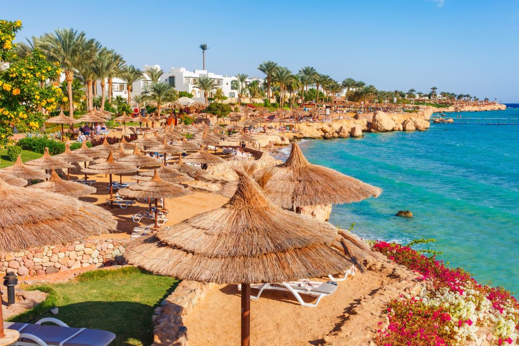 Disfruta del Mar Rojo - Egipto